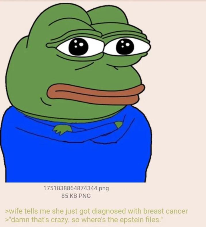 1751838864874344.png 85 KB PNG >wife tells me she just got diagnosed with breast cancer >"damn that's crazy. so where's the epstein files."