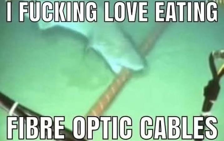 I F------ LOVE EATING FIBRE OPTIC CABLES