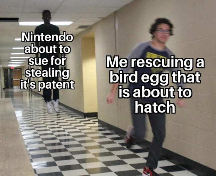 -Nintendo about to sue for stealing it's patent Me rescuing a bird egg that is about to hatch