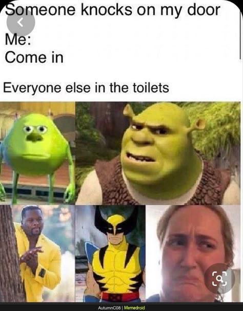Someone knocks on my door Me: Come in Everyone else in the toilets AutumnC08 | Memedroid