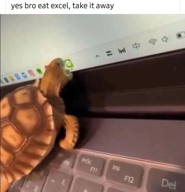 yes bro eat excel, take it away 0 2 = M PriSc FIT Ins F12 Del