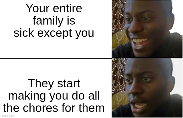Your entire family is sick except you They start making you do all the chores for them imgflip.com