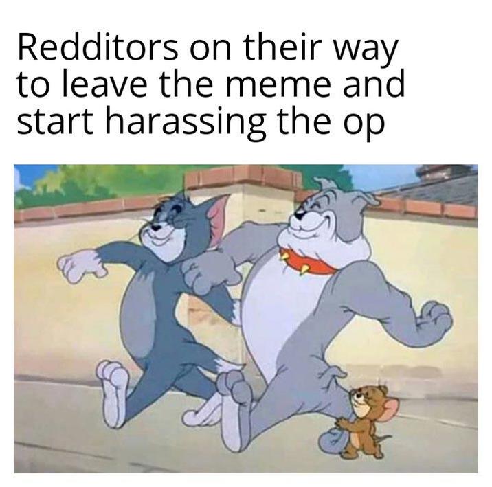 Redditors on their way to leave the meme and start harassing the op