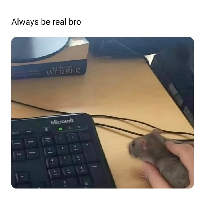 Always be real bro BERNARIN WERBER Microsoft
