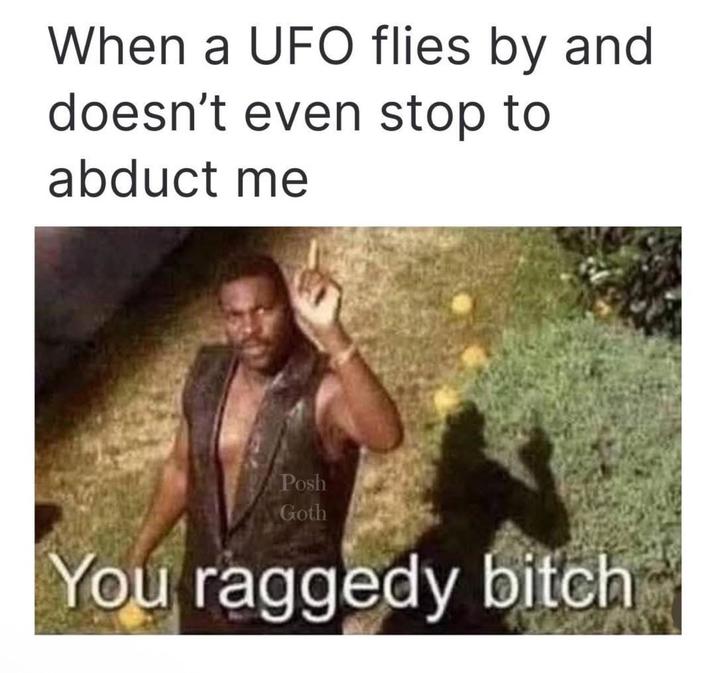 When a UFO flies by and doesn't even stop to abduct me Posh Goth You raggedy bitch