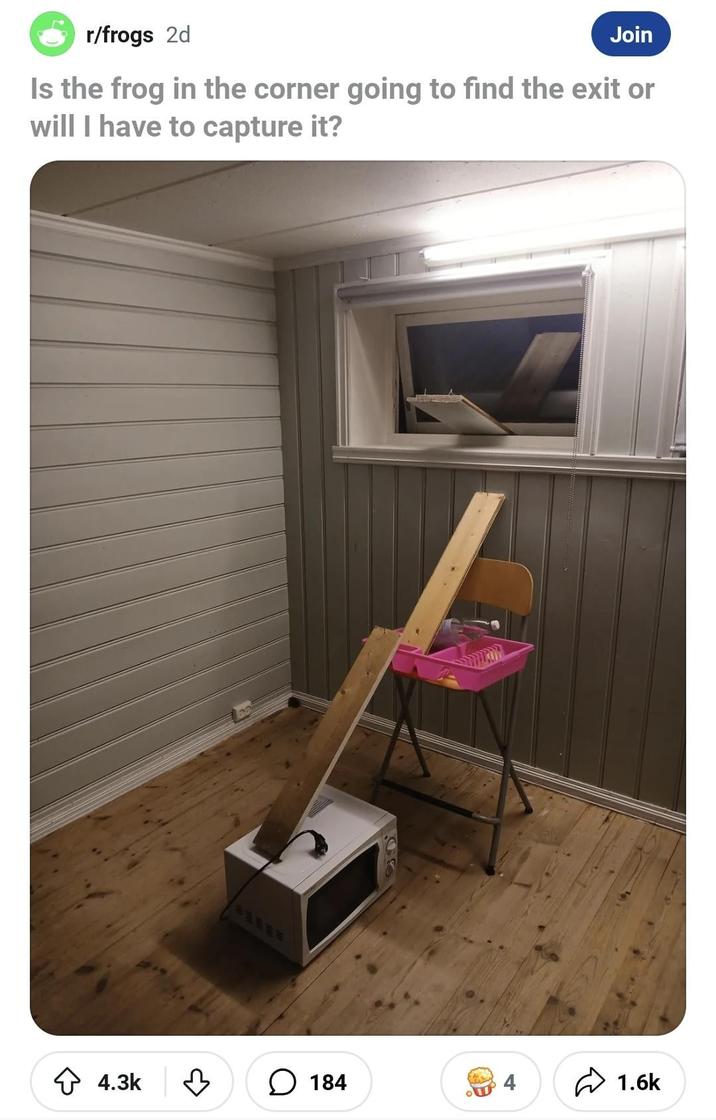 r/frogs 2d Join Is the frog in the corner going to find the exit or will I have to capture it? ◇ 4.3k ངས་ ☐ 184 4 1.6k