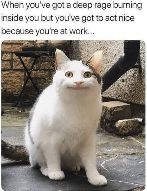 When you've got a deep rage burning inside you but you've got to act nice because you're at work...