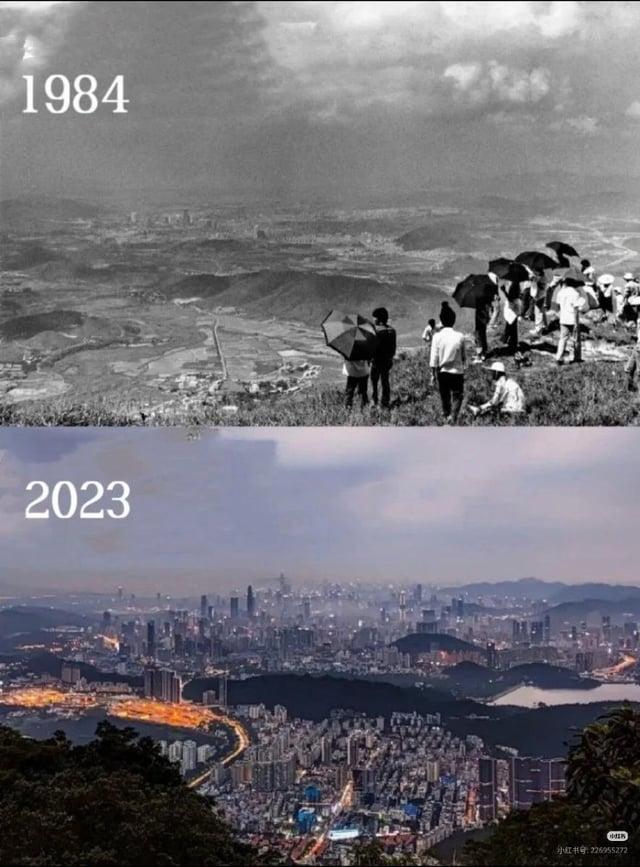 1984 2023 小红书号: 226955272