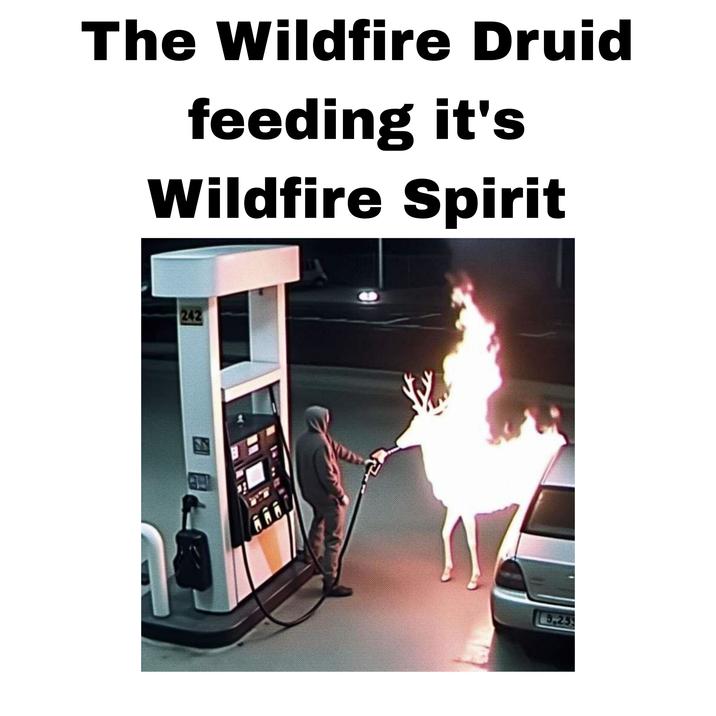 The Wildfire Druid feeding it's Wildfire Spirit 242 3.259