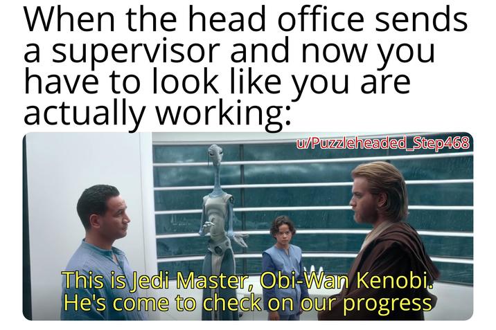 When the head office sends a supervisor and now you have to look like you are actually working: u/Puzzleheaded Step468 This is Jedi Master, Obi-Wan Kenobi He's come to check on our progress