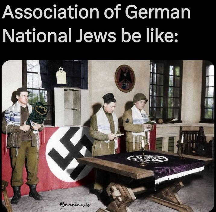 Association of German National Jews be like: Anamnesis