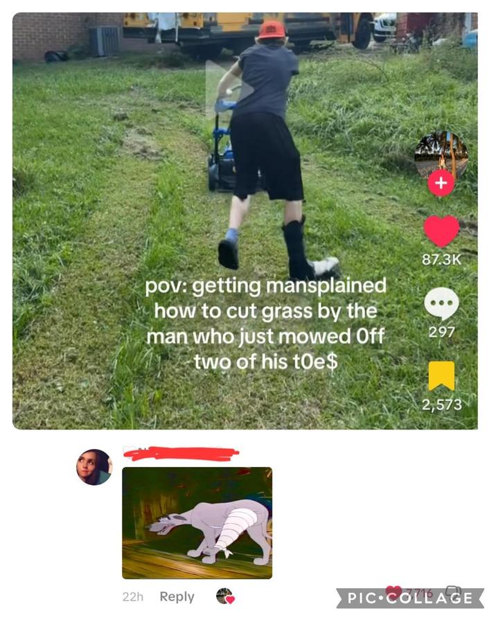 pov: getting mansplained how to cut grass by the man who just mowed Off two of his toe$ 87.3K 297 2,573 22h Reply PIC COLLAGE