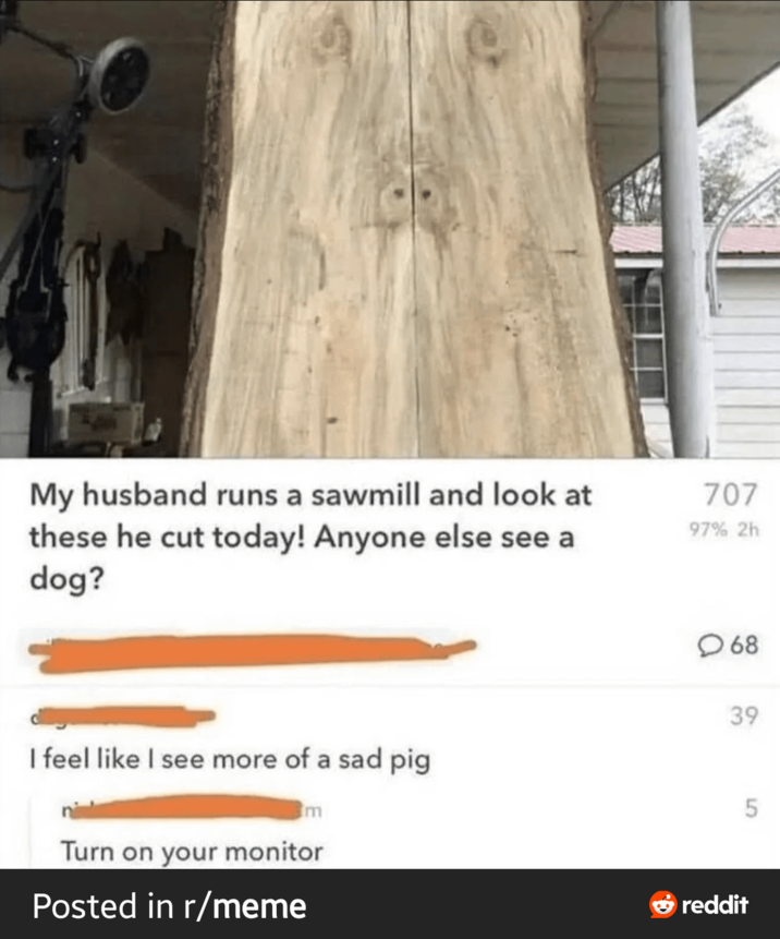 My husband runs a sawmill and look at these he cut today! Anyone else see a dog? 707 97% 2h 68 I feel like I see more of a sad pig Turn on your monitor Posted in r/meme 39 reddit 5