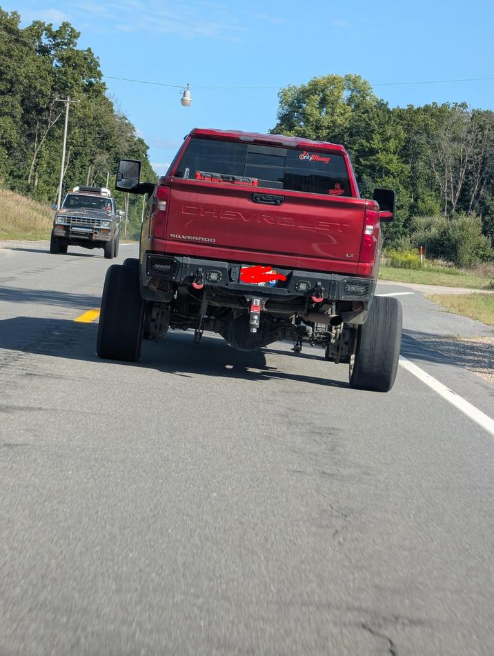 CHEVRE SILVERADO Only Honey