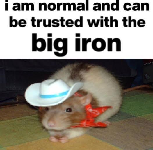 i am normal and can be trusted with the big iron