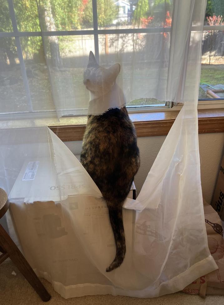 ESPRESSO NESPRES SPRESSO sho OES.com