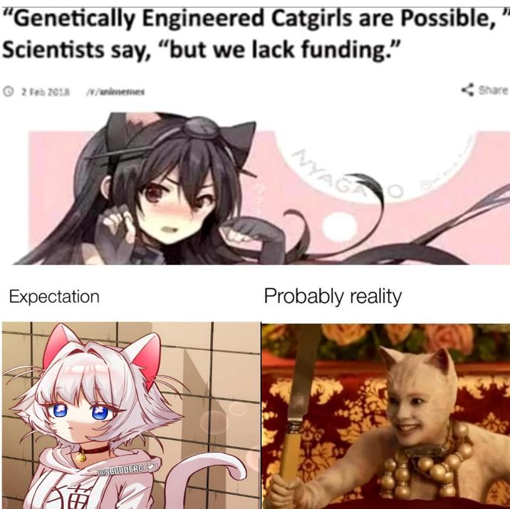 “Genetically Engineered Catgirls are Possible, Scientists say, "but we lack funding." 2 Feb 2018 //animemes NYAGA Expectation Probably reality @SCUUDERCO Share