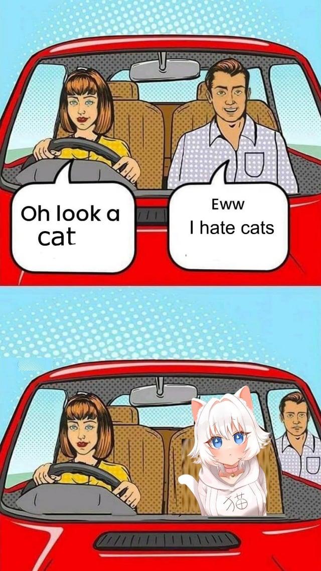 Oh look a cat Eww I hate cats 猫