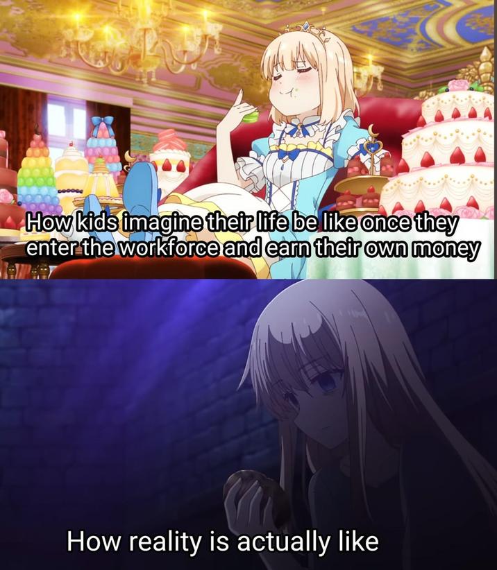 How kids imagine their life be like once they enter the workforce and earn their own money How reality is actually like