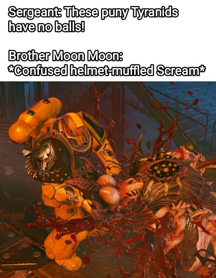 Sergeant: These puny Tyranids have no balls! Brother Moon Moon: *Confused helmet-muffled Scream*