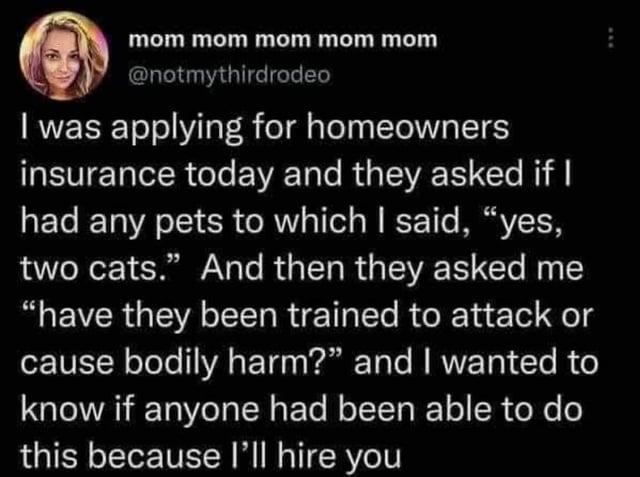 mom mom mom mom mom @notmythirdrodeo I was applying for homeowners insurance today and they asked if I had any pets to which I said, "yes, two cats." And then they asked me "have they been trained to attack or cause bodily harm?" and I wanted to know if anyone had been able to do this because I'll hire you