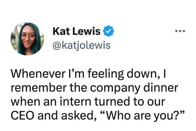 Kat Lewis @katjolewis Whenever I'm feeling down, I remember the company dinner when an intern turned to our CEO and asked, "Who are you?"
