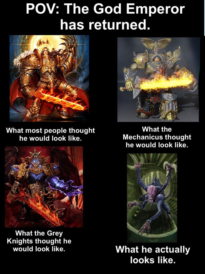 POV: The God Emperor has returned. What most people thought he would look like. What the Mechanicus thought he would look like. What the Grey Knights thought he would look like. What he actually looks like.