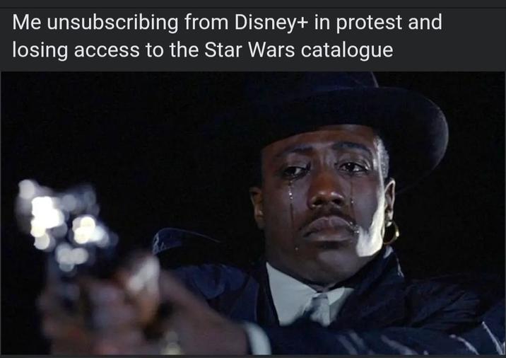 Me unsubscribing from Disney+ in protest and losing access to the Star Wars catalogue