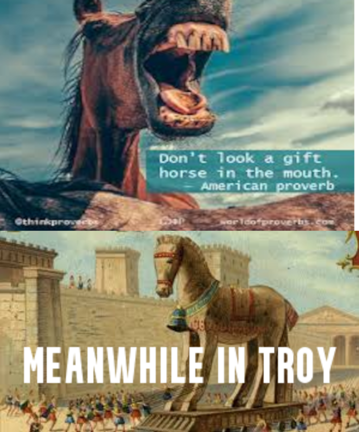 Don't look a gift horse in the mouth. American proverb Othinkproy Coop worldofproverbs.com MEANWHILE IN TROY