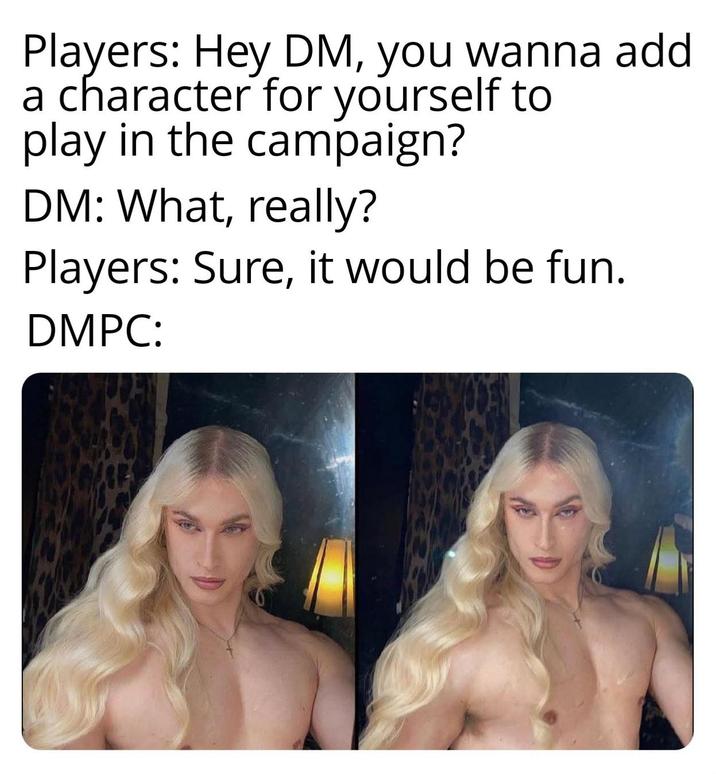 Players: Hey DM, you wanna add a character for yourself to play in the campaign? DM: What, really? Players: Sure, it would be fun. DMPC: