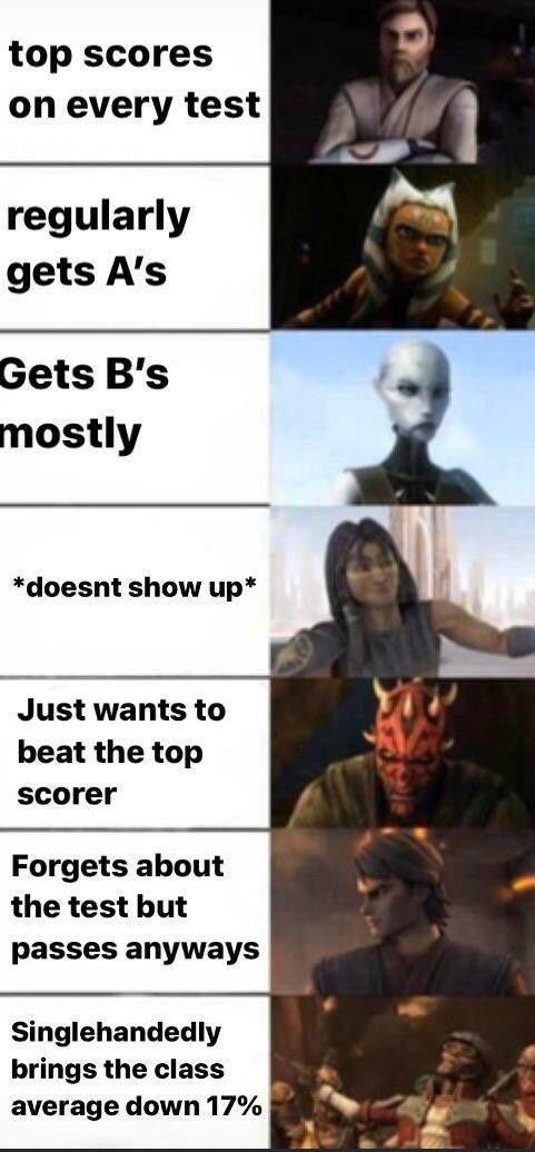 top scores on every test regularly gets A's Gets B's mostly *doesnt show up* Just wants to beat the top scorer Forgets about the test but passes anyways Singlehandedly brings the class average down 17%