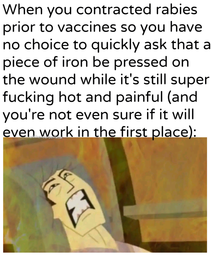 When you contracted rabies prior to vaccines so you have no choice to quickly ask that a piece of iron be pressed on the wound while it's still super f------ hot and painful (and you're not even sure if it will even work in the first place): u/Khantlerpartesar