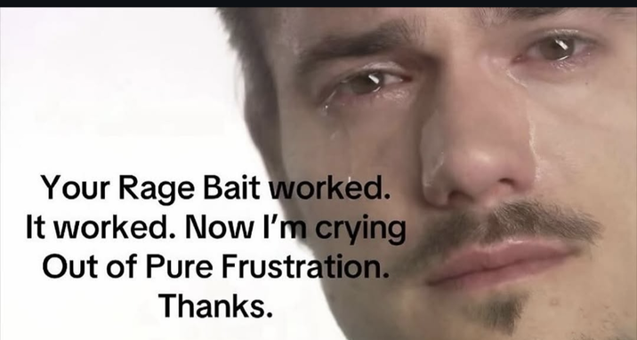 Your Rage Bait worked. It worked. Now I'm crying Out of Pure Frustration. Thanks.