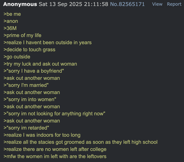 View Report Anonymous Sat 13 Sep 2025 21:11:58 No.82565171 >be me >anon >36M >prime of my life >realize I havent been outside in years >decide to touch grass >go outside >try my luck and ask out woman >"sorry I have a boyfriend" >ask out another woman >"sorry I'm married" >ask out another woman >"sorry im into women" >ask out another woman >"sorry im not looking for anything right now" >ask out another woman >"sorry im retarded" >realize I was indoors for too long >realize all the stacies got groomed as soon as they left high school >realize there are no women left after college >mfw the women im left with are the leftovers