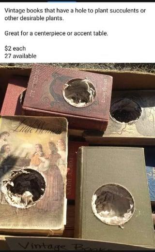 Vintage books that have a hole to plant succulents or other desirable plants. Great for a centerpiece or accent table. $2 each 27 available Vintage Books