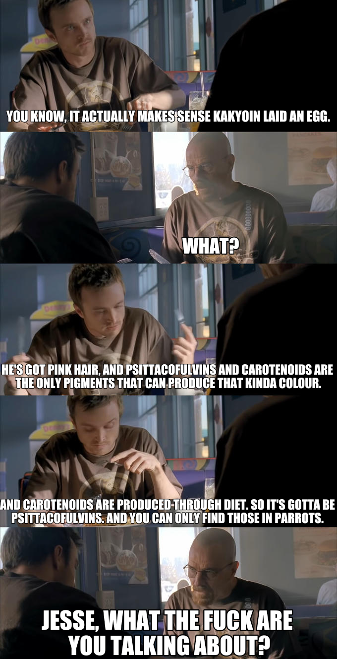 YOU KNOW, IT ACTUALLY MAKES SENSE KAKYOIN LAID AN EGG. WHAT? HE'S GOT PINK HAIR, AND PSITTACOFULVINS AND CAROTENOIDS ARE THE ONLY PIGMENTS THAT CAN PRODUCE THAT KINDA COLOUR. AND CAROTENOIDS ARE PRODUCED-THROUGH DIET. SO IT'S GOTTA BE PSITTACOFULVINS. AND YOU CAN ONLY FIND THOSE IN PARROTS. JESSE, WHAT THE F--- ARE YOU TALKING ABOUT?