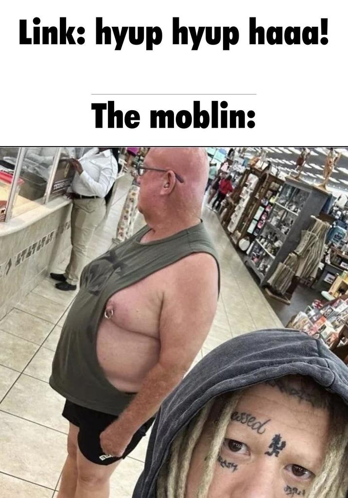 Link: hyup hyup haaa! The moblin: essed RASH *