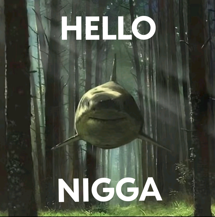 HELLO N----