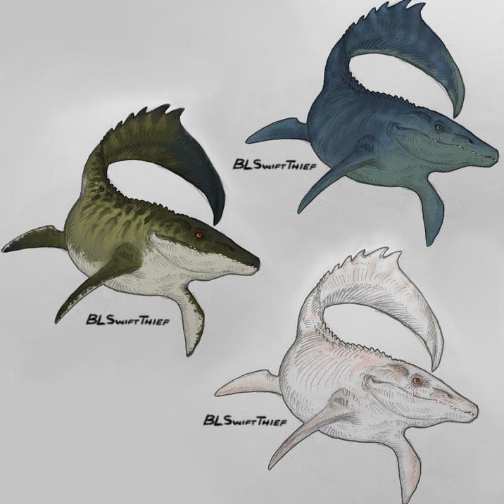 BLSWIFT THIEF BLSWIFT THIEF wwww BLSWIFT THIEF