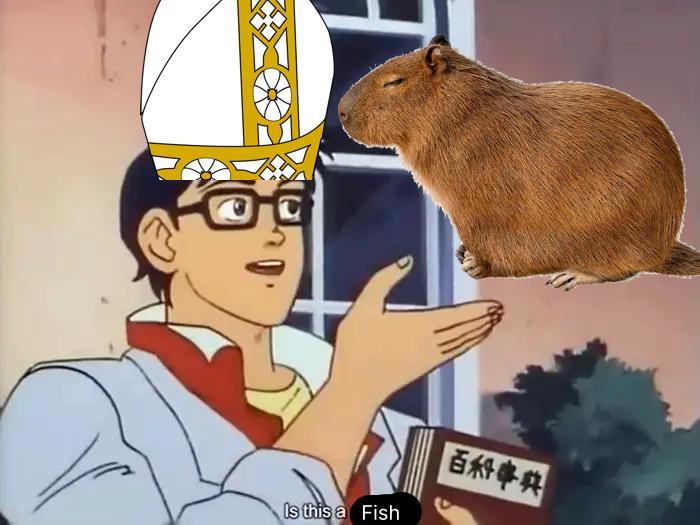 Is this a Fish 百科事典