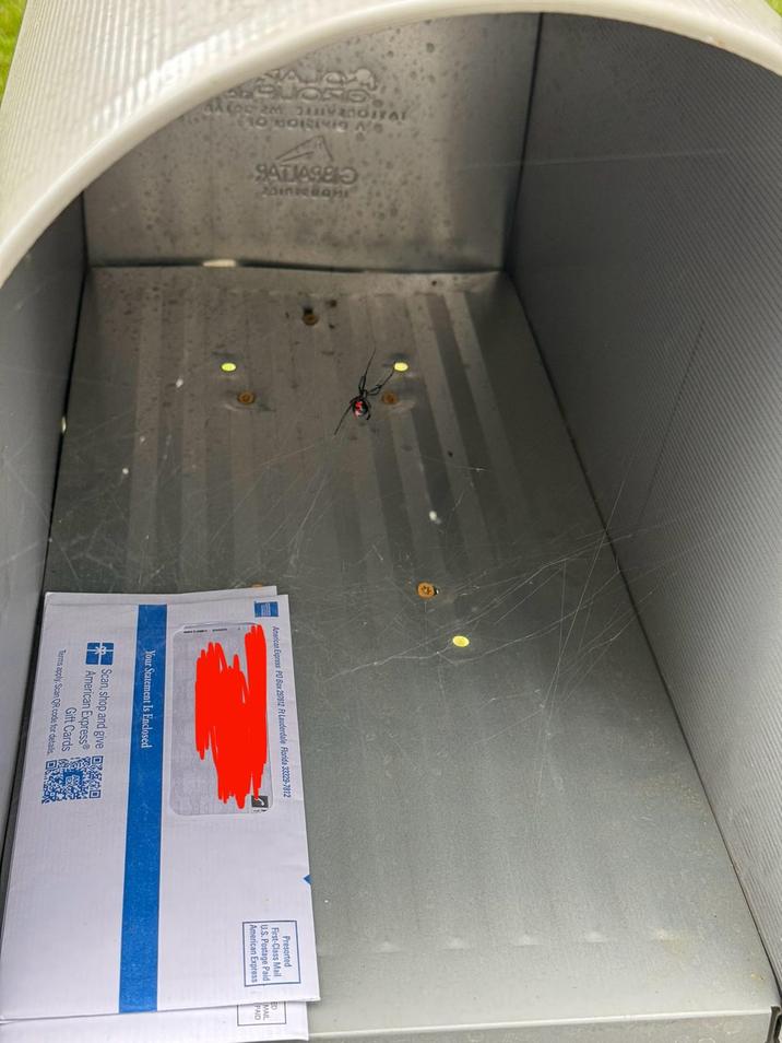 10 KORE SATIASE American Express PO Box 297812 Ft Lauderdale Florida 33329-7812 Presorted First-Class Mail U.S. Postage Paid American Express Your Statement Is Enclosed Scan, shop and give DO American Express Gift Cards Terms apply. Scan QR code for details. ED MAIL PAID