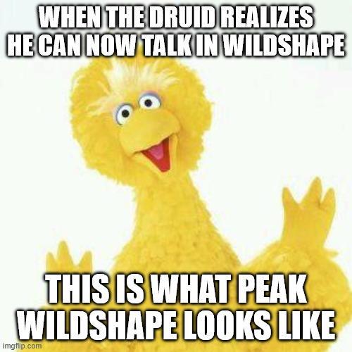 WHEN THE DRUID REALIZES HE CAN NOW TALK IN WILDSHAPE THIS IS WHAT PEAK WILDSHAPE LOOKS LIKE imgflip.com