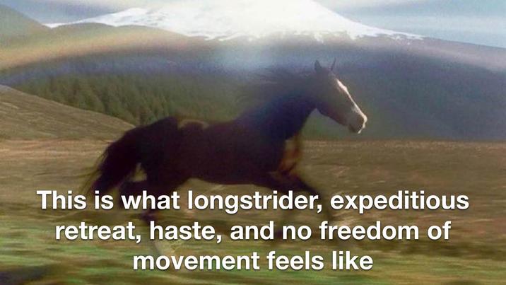 This is what longstrider, expeditious retreat, haste, and no freedom of movement feels like