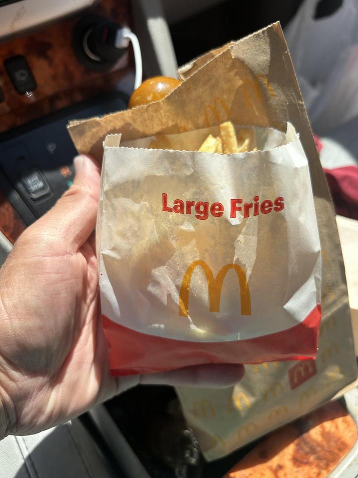 Large Fries M 27 3