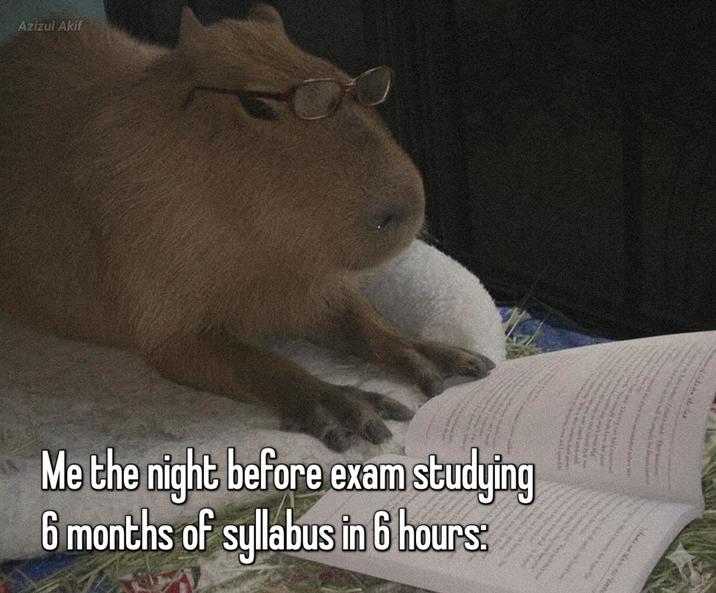 Azizul Akif Me the night before exam studying 6 months of syllabus in 6 hours: