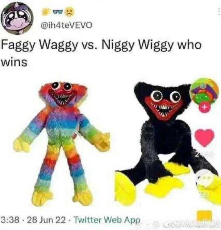 @ih4teVEVO Faggy Waggy vs. Niggy Wiggy who wins 3:38-28 Jun 22 - Twitter Web App