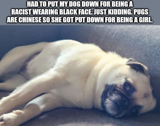 HAD TO PUT MY DOG DOWN FOR BEING A RACIST WEARING BLACK FACE. JUST KIDDING. PUGS ARE CHINESE SO SHE GOT PUT DOWN FOR BEING A GIRL.