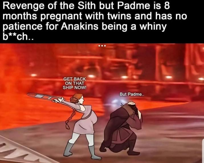 Revenge of the Sith but Padme is 8 months pregnant with twins and has no patience for Anakins being a whiny b**ch.. GET BACK ON THAT SHIP NOW! But Padme..