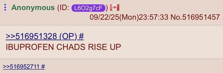 ⠀ Anonymous (ID: L602g7cF) II 09/22/25(Mon)23:57:33 No.516951457 >>516951328 (OP) # IBUPROFEN CHADS RISE UP >>516952711 #