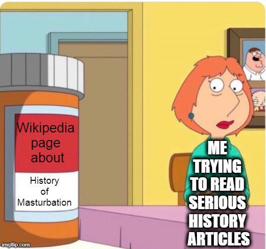 Wikipedia page about ME TRYING History of M----------- TO READ SERIOUS HISTORY ARTICLES imgflip.com
